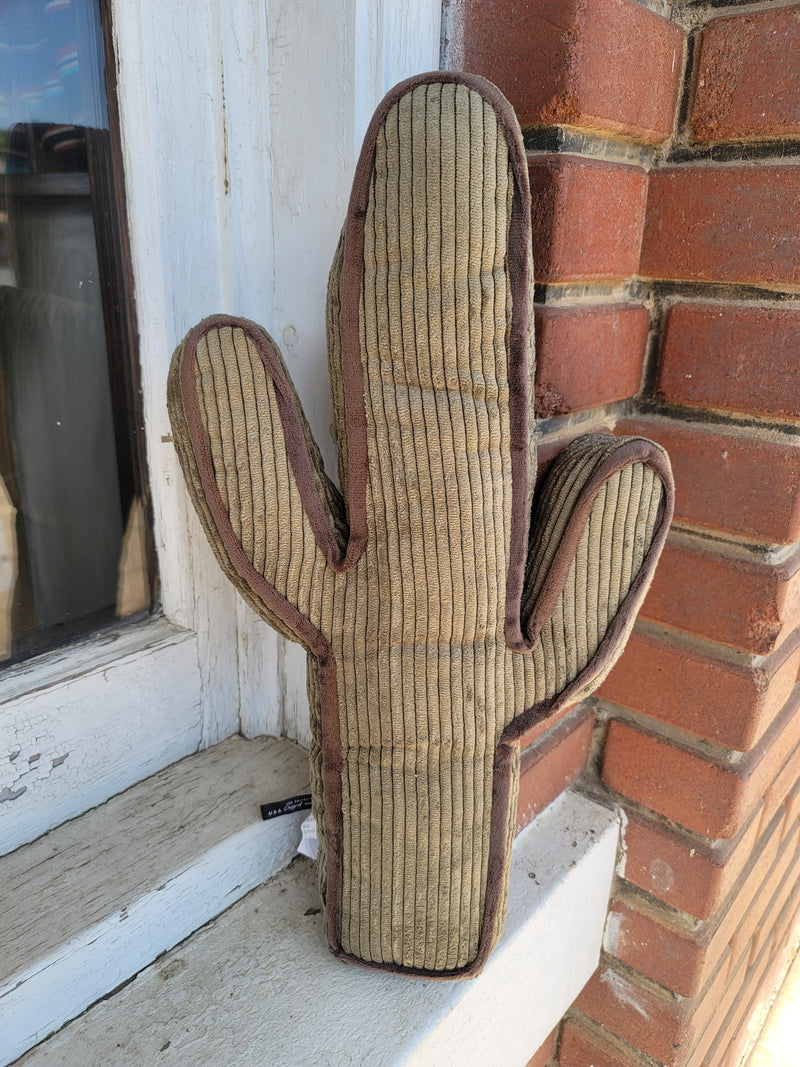 Kick a Cactus Pillow