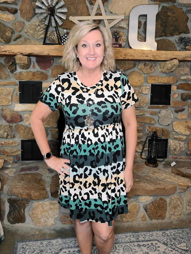 Multi Stripe Leopard Dress